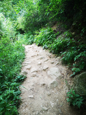 天热觅清凉至抱龙峪