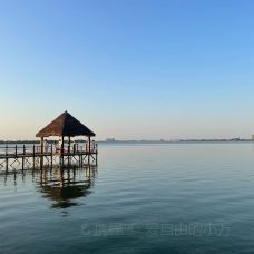 瑶湖湿地自然保护区-南昌县-爱自由的小万