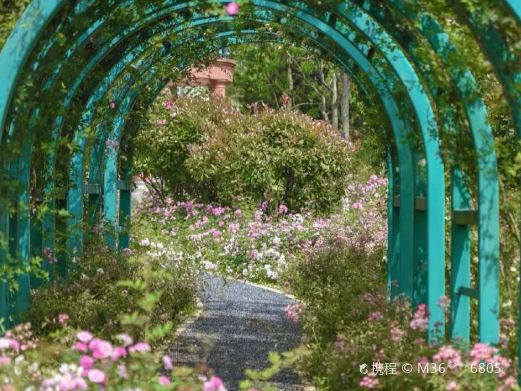 温岭市植物园