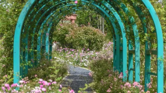 溫嶺市植物園