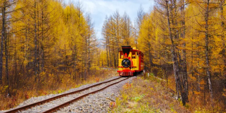 森林公園小火車站