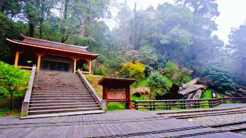 Alishan Shenmu Area