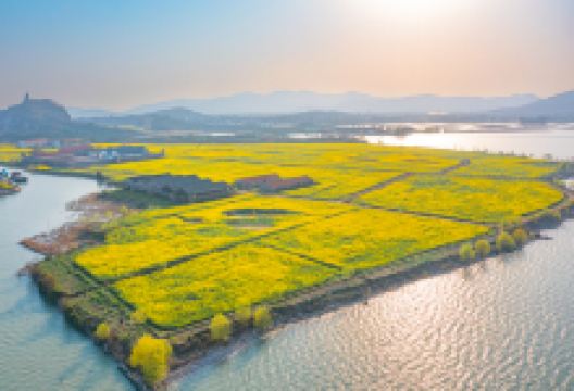 苏州太湖国家湿地公园景点图片