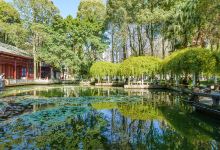 温江公园景点图片