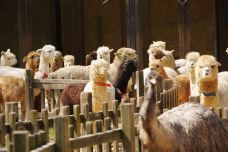 南昌动物园-南昌