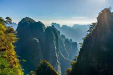 广西大瑶山国家级自然保护区-金秀