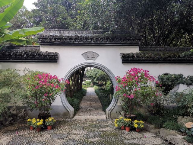 张堰公园旅行图片 4