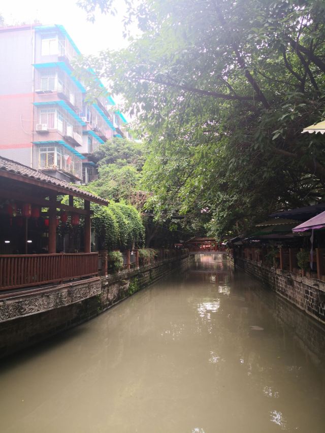 崇德园旅行图片 6