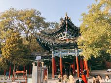 白塔山公园-兰州-唱游天地