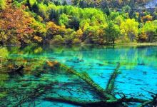 甘南旅游图片-6日都江堰+九寨沟+若尔盖+合作+兰州