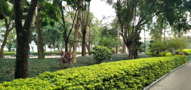 南宁市邕江一桥江滨休闲公园旅行图片 14
