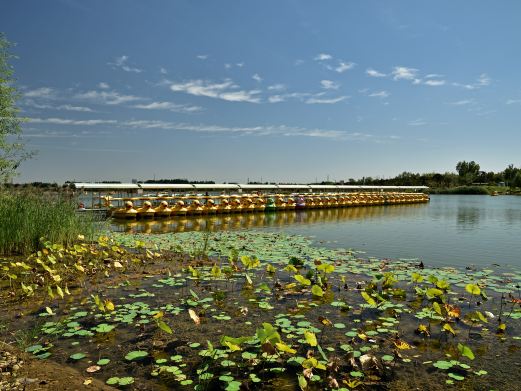龙泉湖湿地