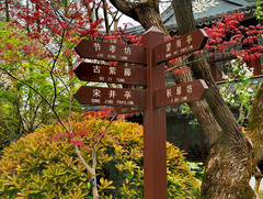 闵行区游记图片] 上海旅游：走进闵行紫藤园（图）