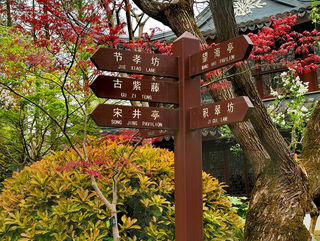 上海旅游：走进闵行紫藤园（图）