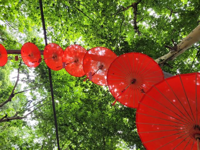 杨浦公园旅行图片 2