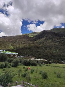 稻城亚丁-冲古草甸-稻城