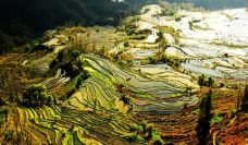 老虎嘴梯田-元阳-老老倪