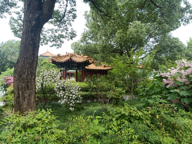 李村河生态全景示范园旅行图片