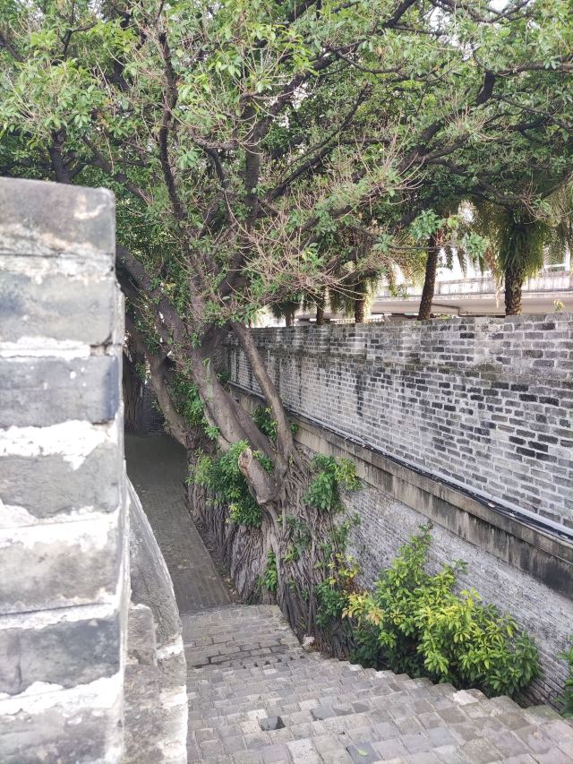南宁古城墙旅行图片 2