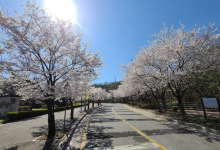 雪峰公园景点图片