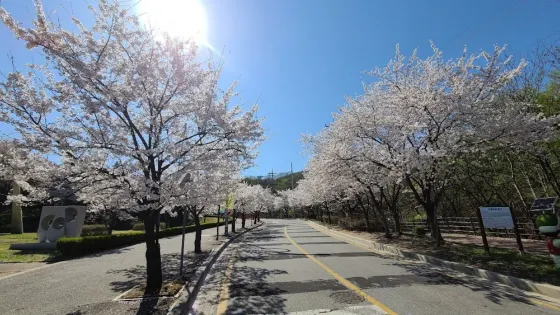 雪峰公園