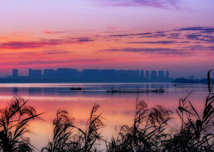 汤逊湖