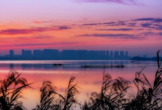 汤逊湖景点图片