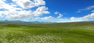 一起去阿克塞，河西走廊西端美丽的小镇——去守护野生动物计划吧！