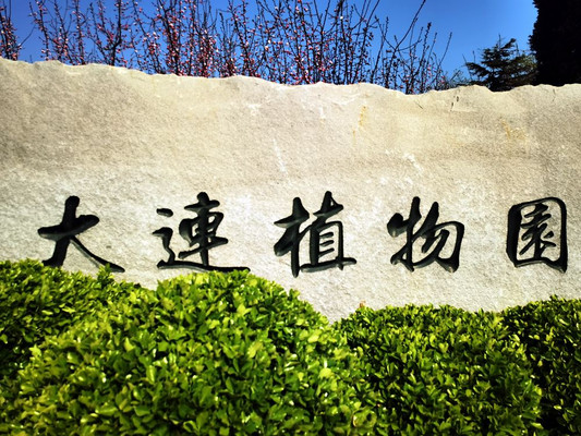云游四海(1573)大连植物园