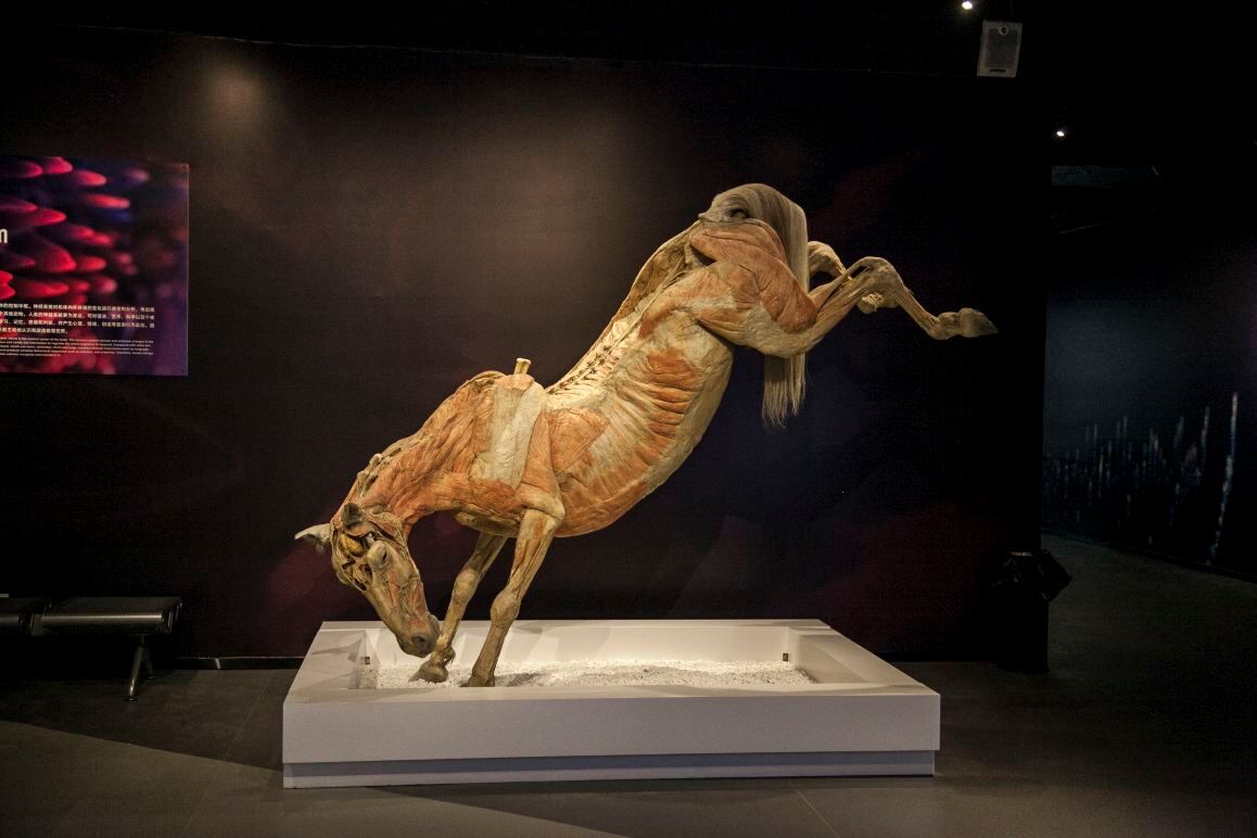 Gallery 2