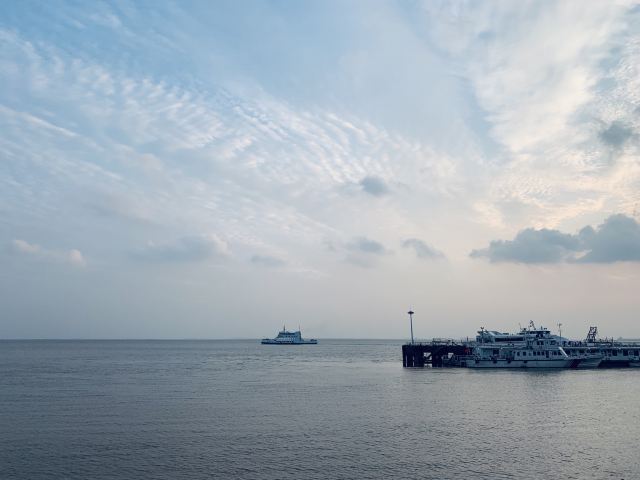 南门景观大堤旅行图片 5