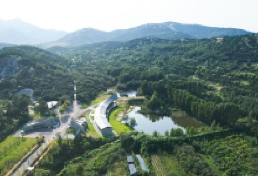 驻龙山景点图片