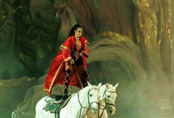 广州长隆国际大马戏+广东科学中心+黄埔军校一日活动【私家团】【丨厚植家国情怀，参观黄埔红色印记丨感受科学的浩瀚--广东科学中心丨长隆大马戏，赴一场奇幻之约丨】