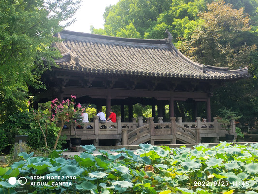 南宋诗人陆游与唐婉惺惺相惜之地——沈园