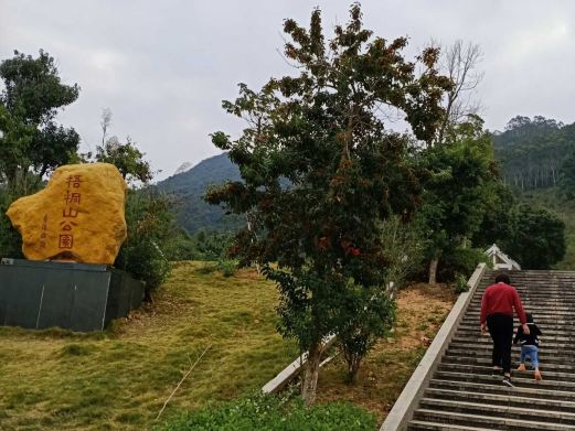 梧桐山公园
