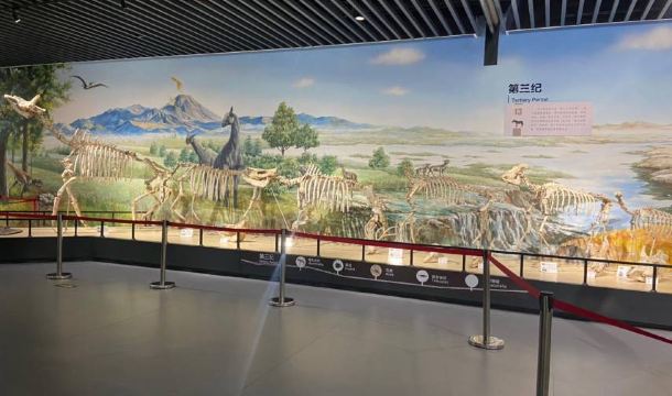 淄博傅山自然地质博物馆