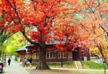 布什内尔公园景点图片