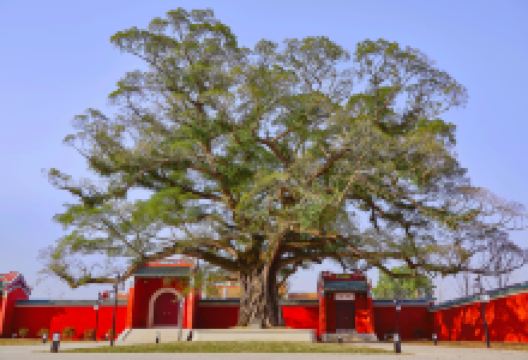 临贺故城景点图片