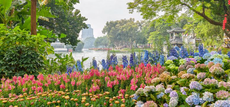 荔湾湖公园景点图片 4