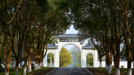 大口國家森林公園