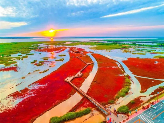北旅田园红海滩2天一夜亲子游记