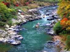 龟冈市-翱翔的大鲨鱼