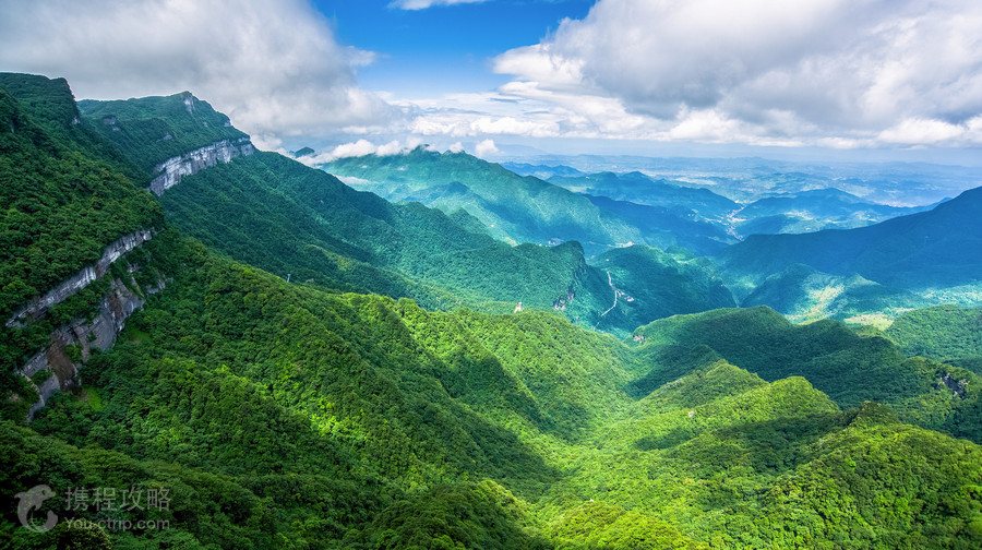 金佛山