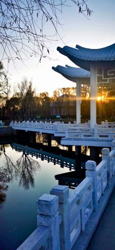 太阳岛风景区-哈尔滨-非你不渴