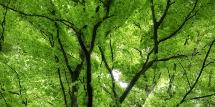 上方山國家森林公園