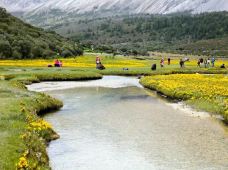 稻城亚丁-冲古草甸-稻城-enjoyzent