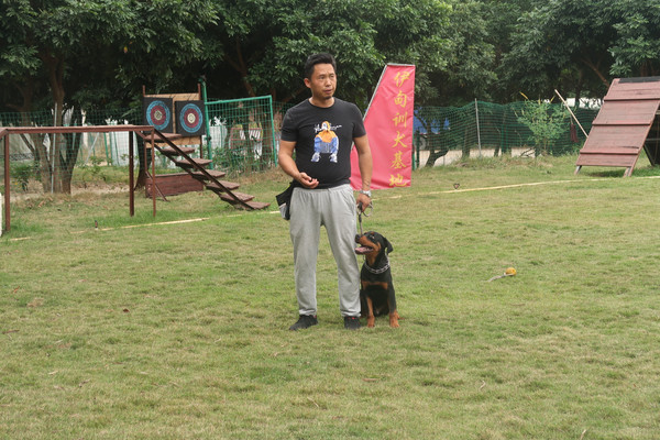中山宠物训练、宠物寄养哪里比较好，伊甸园训犬基地