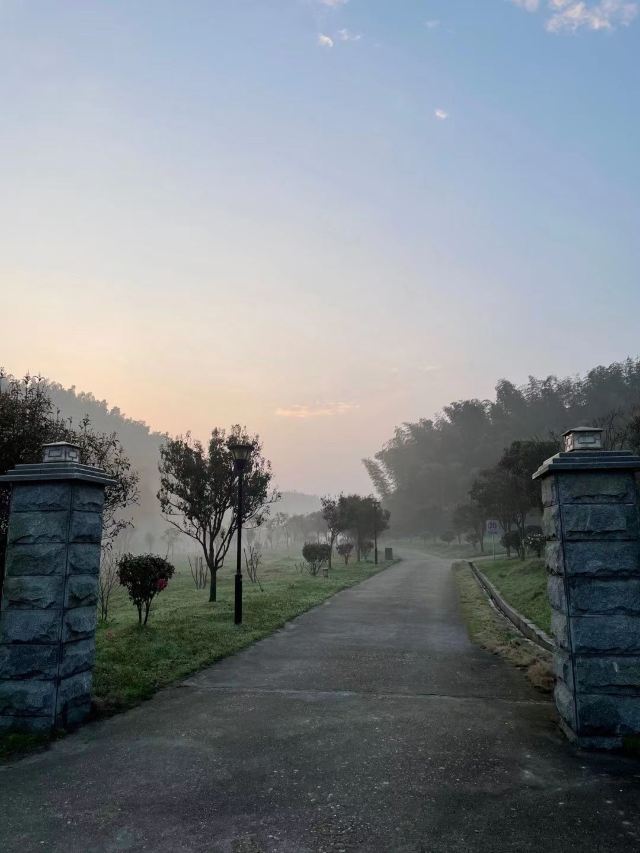 长沙黑麋峰森林公园旅行图片 1