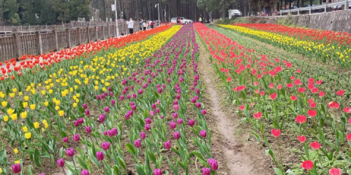 龍架山森林公園