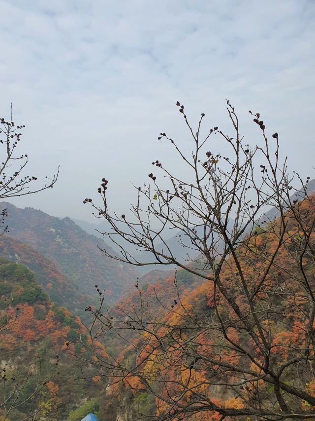 抱龙峪旅行图片 3